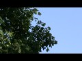 Привидение - призрак, Ангел? 