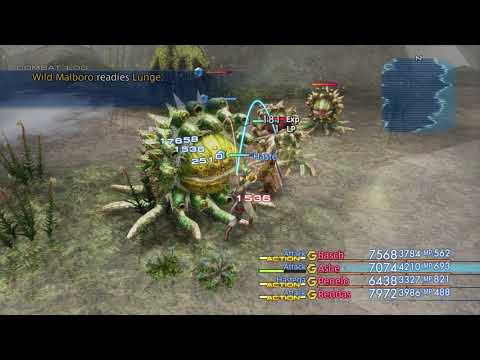 Final Fantasy XII TZA - Hunt - Wild Malboro UHD