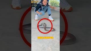 Ela CAPTUROU Uma NAJA Com Uma GARRAFA De PLÁSTICO (créditos: @oomaelodyoo/TT)