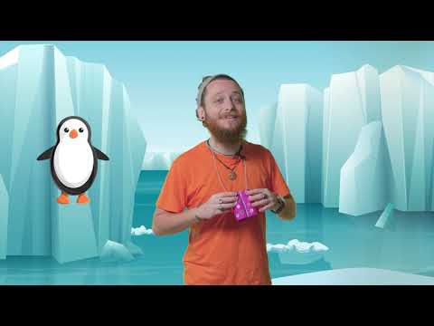 Episodju Nru 187 – Pingwini, foki u oħrajn