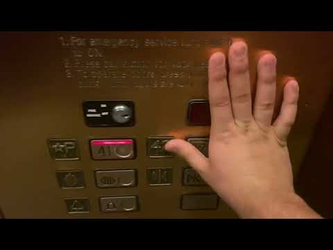 Gold Haughton M-Series traction elevators @ Bank of America tower Downtown Tampa