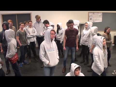 Er det innafor? Harlem Shake