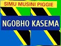 NGOBHO KASEMA UJUMBE WA NDABHI MBASHA STUDIO 24 6 2022