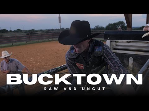 Bucktown: The Quiet Side of the Chaos