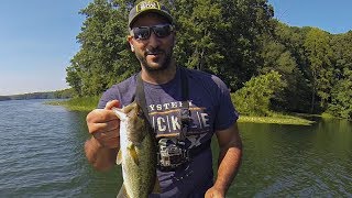 MTB Pro Box!!! Summer Bass Fishing at Piney Run Reservoir