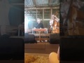 Lucky Oceans