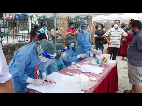 घट्यो संक्रमण  | Prime Times Television