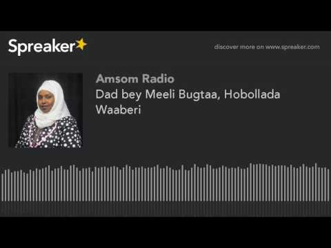 Dad bey Meeli Bugtaa, Hobollada Waaberi