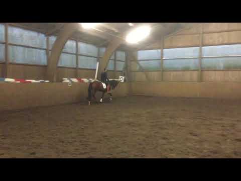 Cascadello I - Quidam de Revel