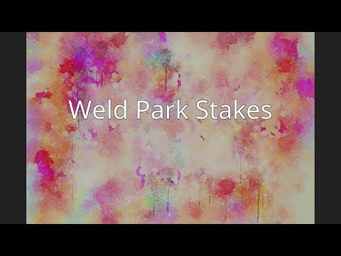 Weld Park Stakes
