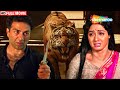 श्रीदेवी की हुई बेहरमी से मौत SRIDEVI KI MOVIE BOLLY