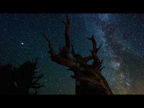 Aliniați-vă gândurile cu Dumnezeu- William Branham