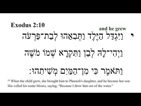 Exodus 2 -- Hebrew Bible Speaker with English Captions