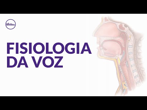 Fisiologia da Voz – Como a Voz Funciona? (PEDAGOGIA VOCAL)