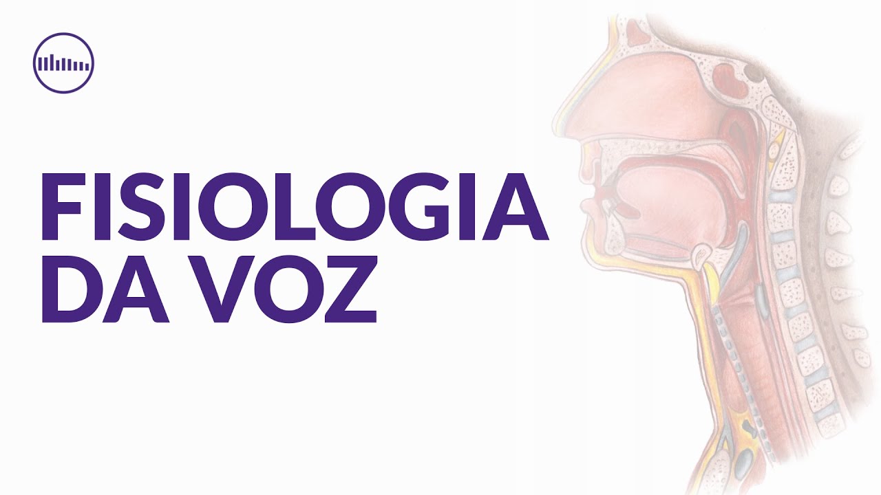 Fisiologia da Voz – Como a Voz Funciona? (PEDAGOGIA VOCAL)