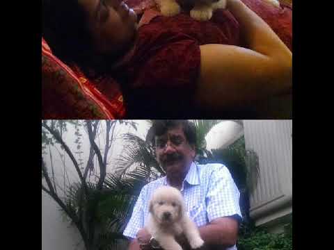 Fido's journey so far......