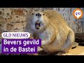 GLD Nieuws 3 mei 2023