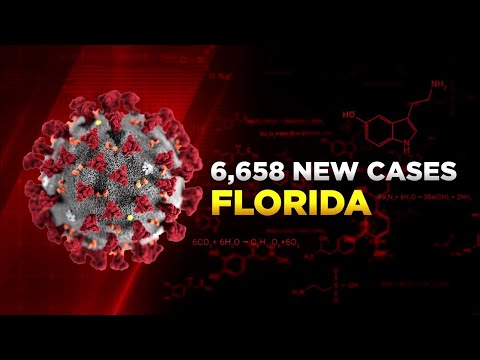 Florida inches closer to 1 million COVID-19 cases