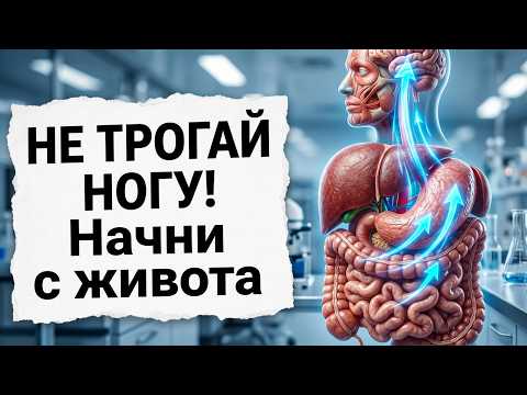 Целлюлит, остеохондропатия, варикоз, артрит, привычный вывих   как убрать