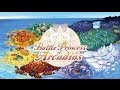 Battle Princess of Arcadias - Official Trailer