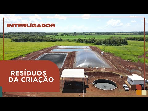 Economia circular transforma resíduos em valor no campo