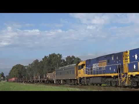 NR110 and NR22 on 7PX4 freight Herne Hill