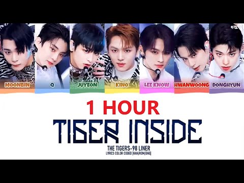 호랑이즈 호랑이 1시간 / THE TIGERS-98 LINER TIGER INSIDE 1hour