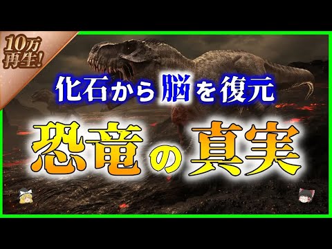 恐竜の脳組織の化石が特定された