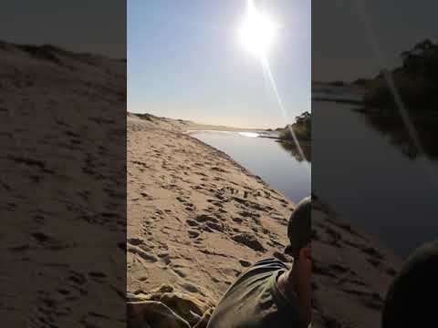 pescando en Santa regina #shorts