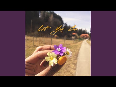 Let You Go