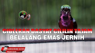 Download lagu MASTERAN KONIN GACOR FULL ISIAN ROLL TEMBAK CIBLEKAN CILILIN BELALANG EMAS DASYAT ISTIMEWA mp3