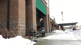 Download Lagu 7 Month Old PitMix, Tucker! Pitbulls with Amazing Obedience/ Off Leash K9 Training New York Thumbnail