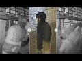 Arnhem: Inbraak juwelierszaak Koningstraat