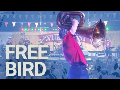Free Bird - The Chardon Polka Band LIVE @ Wurstfest