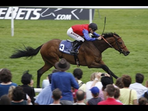 Baden-Baden: Großer Preis der Badischen Unternehmer (Gruppe 2) - Sieger: Almandin