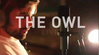 Sir Yes Sir Live Sessions - The Owl
