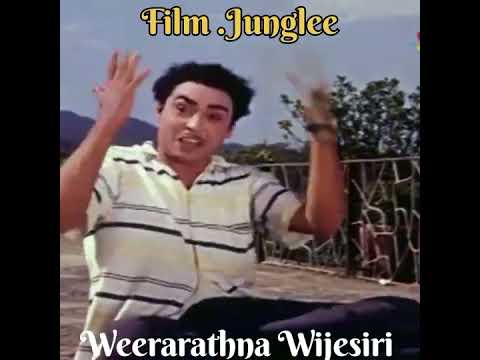 Nain Tumhare ... // Weerarathna Wijesiri and Wasanthi (Cover song).