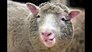 Water is NOT made from Hydrogen and Oxygen - 101 Reasons It&#39;s NOT