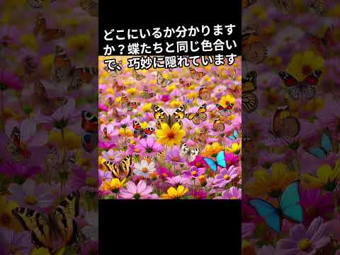 園芸 鱗翅目または蝶