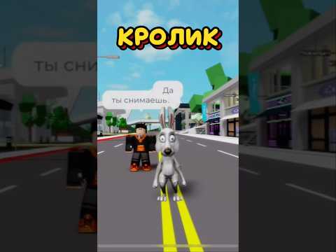 КОДЫ НА СКИН КРОЛИКА ДЛЯ БРУКХЕЙВЕН РП РОБЛОКС#roblox #brookhaven