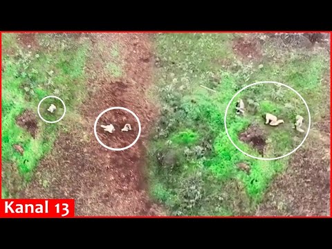 The drone chased away, the Russians fled in panic - They couldn't find a place to hide