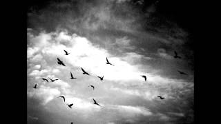 Life Dethroned - Eternal Glory In Flames