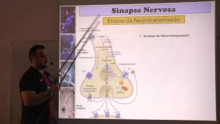 Tipos de Sinapses e Dinâmica da Neurotransmissão Adrenérgica.