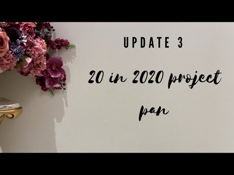 20 in 20 Project Pan | Update 3