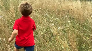 Stefano Nottoli - DNA (Official Music Video)