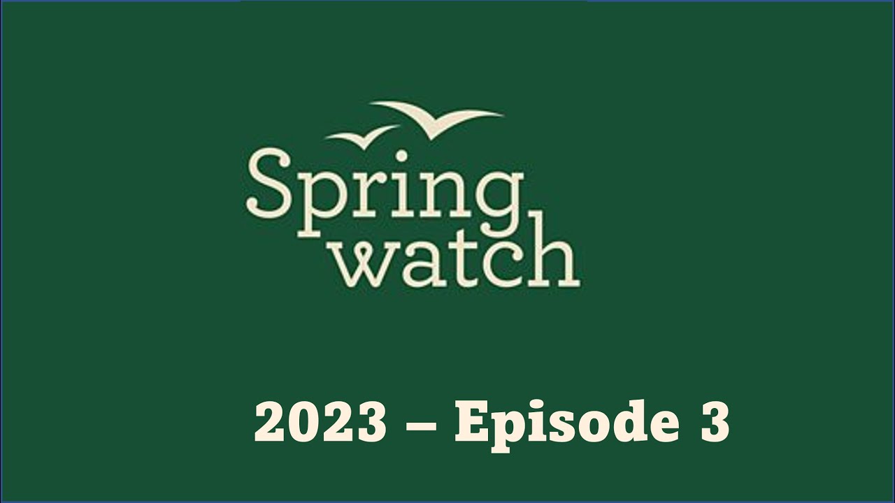 Springwatch 2023  Episode 3