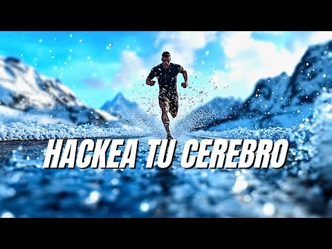 Neurociencia de la Disciplina: Cómo Entrenar Tu Cerebro Para No Rendirte Jamás