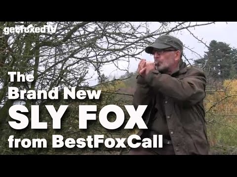 The Sly Fox Call from Best Fox Call