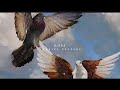 Imagine Dragons Birds Slowed Reverb