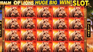 INSANE BIG WIN on Reel of Lions! 🦁 Huge Bonus Feature & Massive Wild Hits